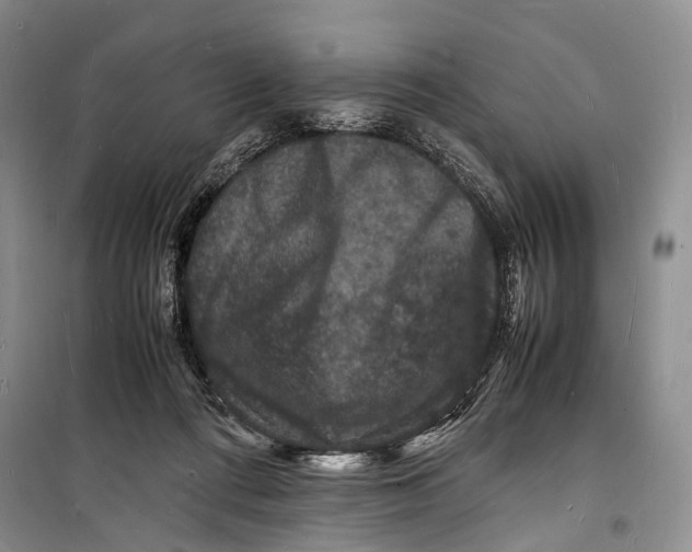 X0000098180312200805151147