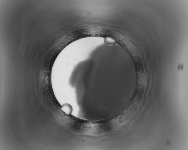 X0000098180313200805151147