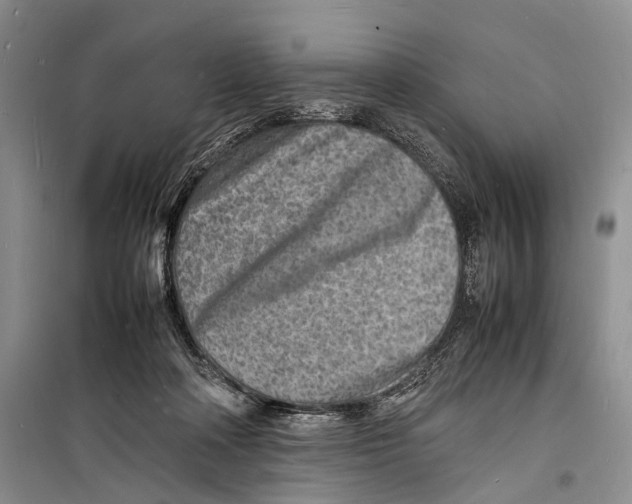 X0000098180314200805151147