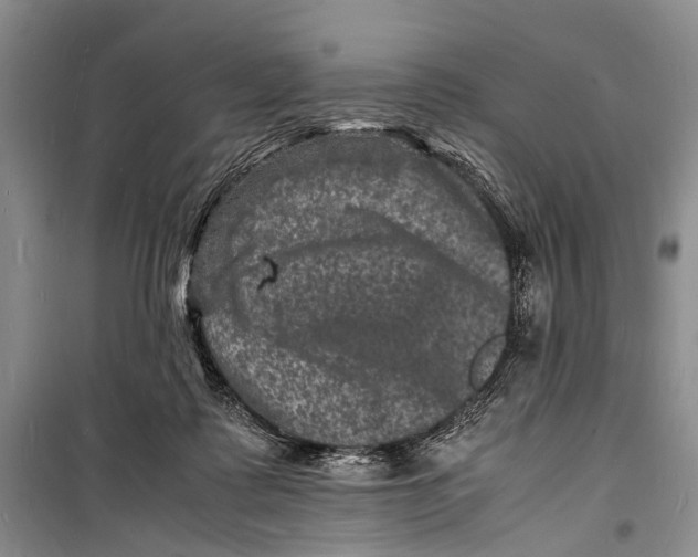 X0000098180315200805151147