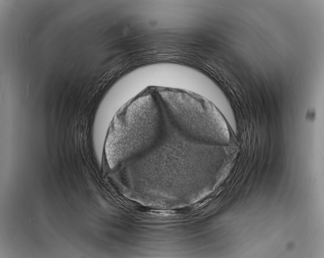 X0000098180316200805151146