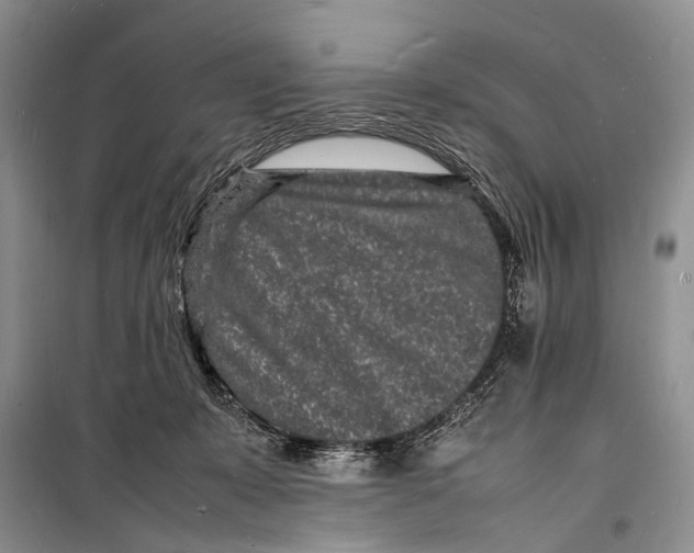 X0000098180319200805151146