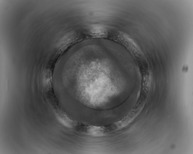 X0000098180320200805151146