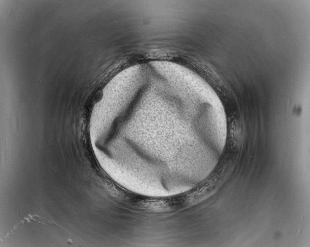 X0000098180322200805151146