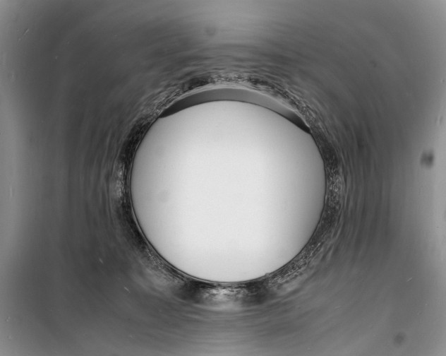 X0000098180323200805151146