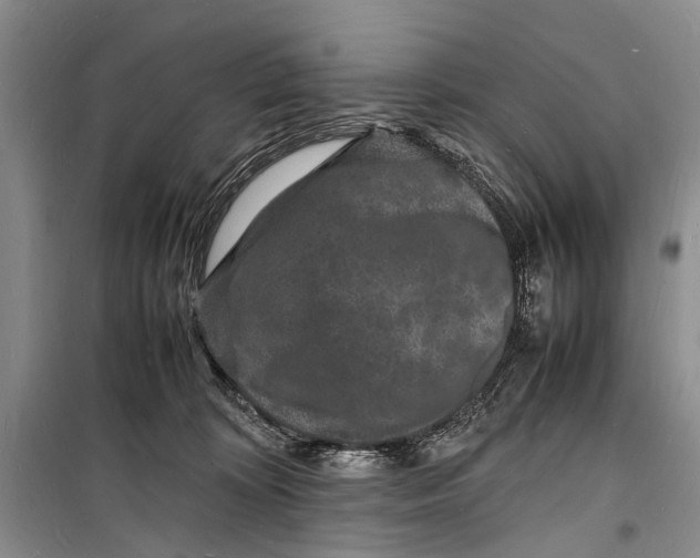 X0000098180324200805151146