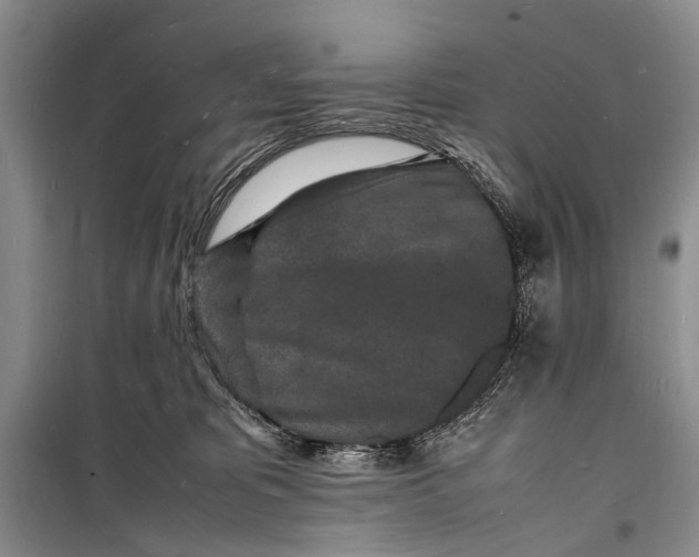 X0000098180325200805151146