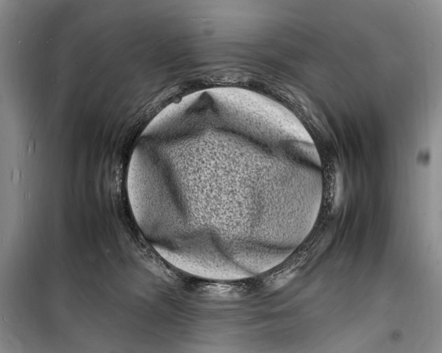 X0000098180326200805151146