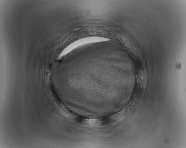 X0000098180327200805151146