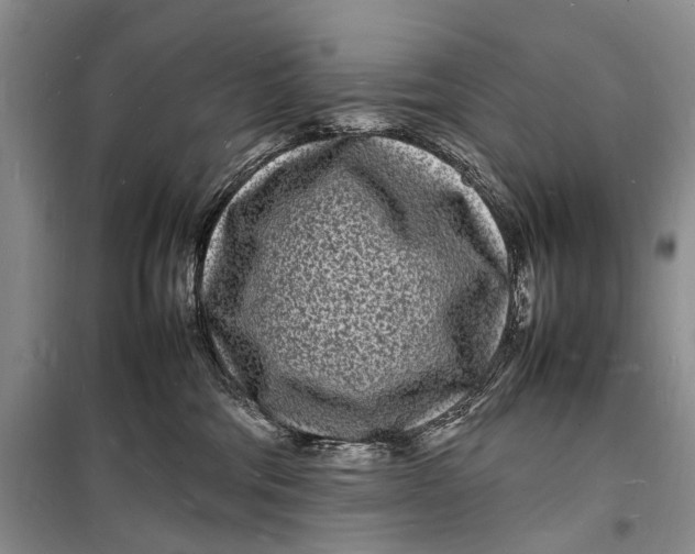 X0000098180330200805151146