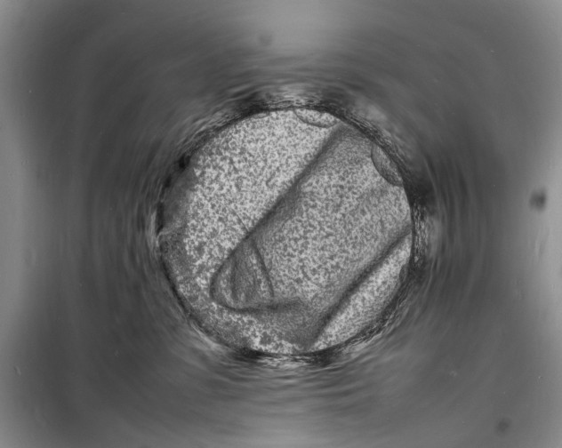 X0000098180331200805151146