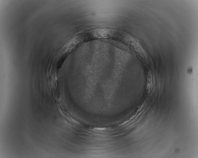 X0000098180332200805151146