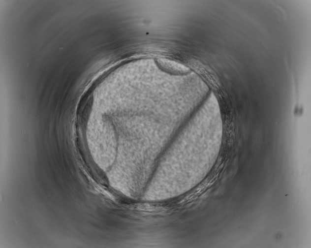 X0000098180338200805151145