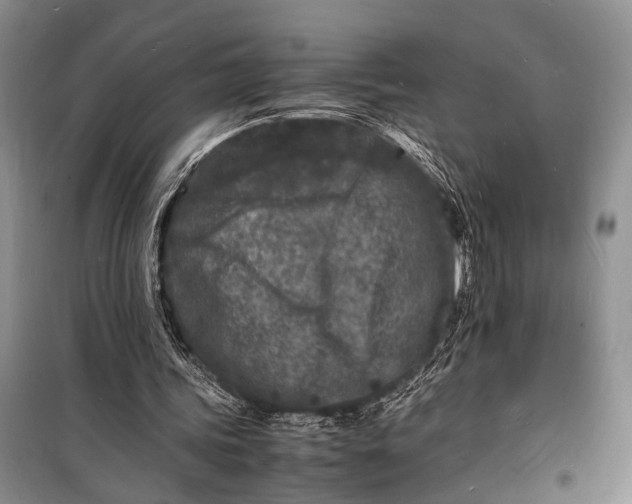 X0000098180339200805151145