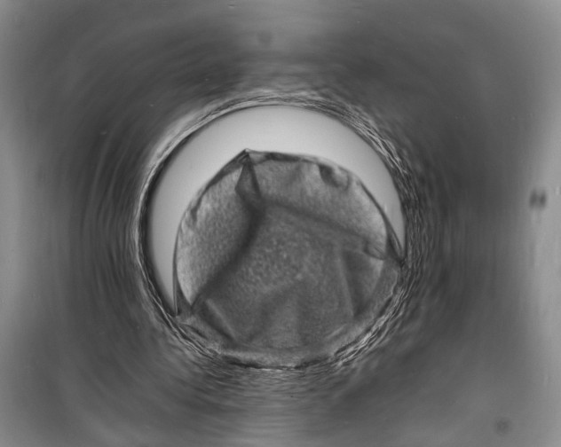 X0000098180340200805151145