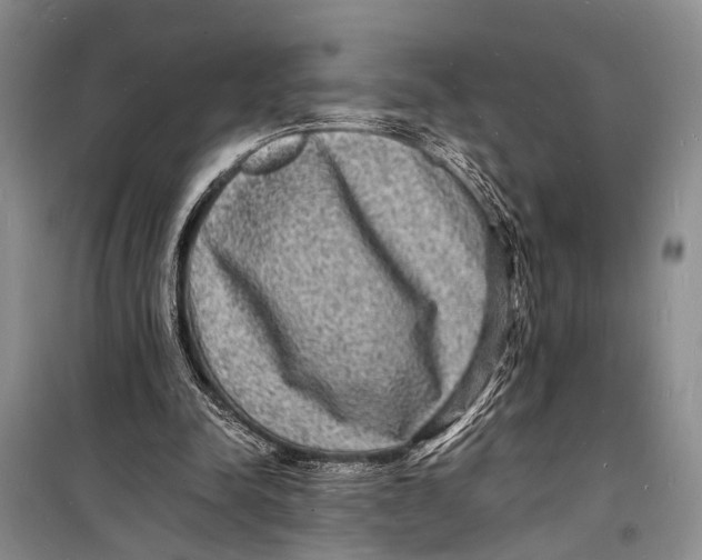 X0000098180342200805151145