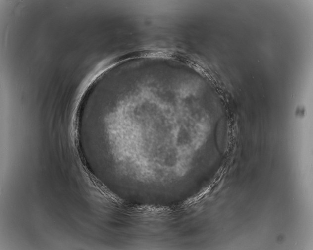 X0000098180343200805151145