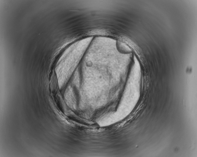 X0000098180345200805151145