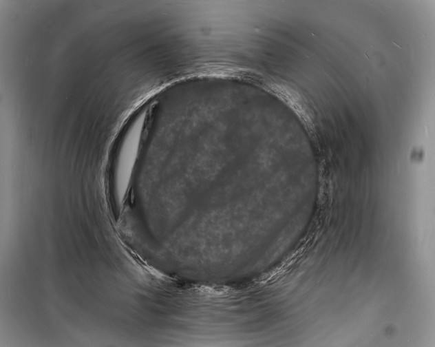 X0000098180346200805151145