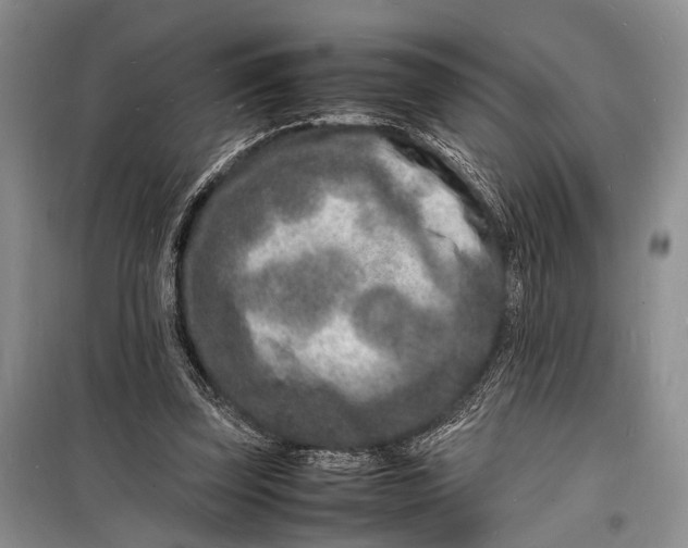 X0000098180347200805151146