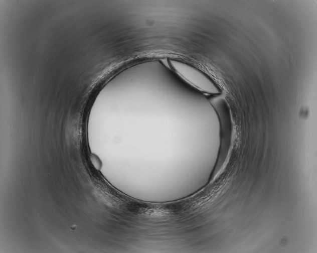 X0000098180348200805151146