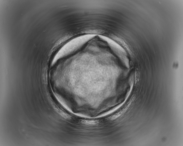 X0000098180349200805151146