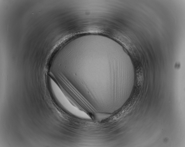 X0000098180350200805151146