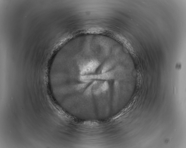 X0000098180354200805151146