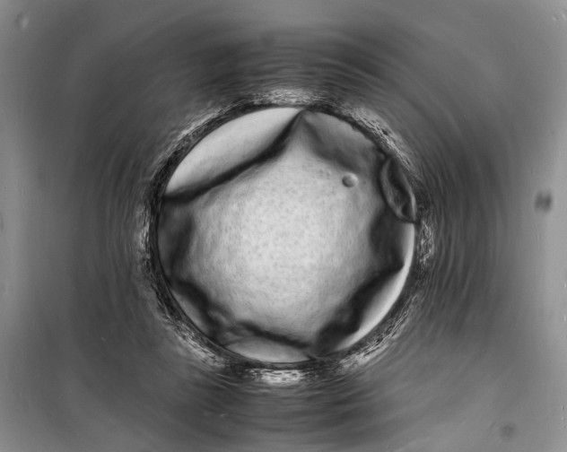 X0000098180355200805151146