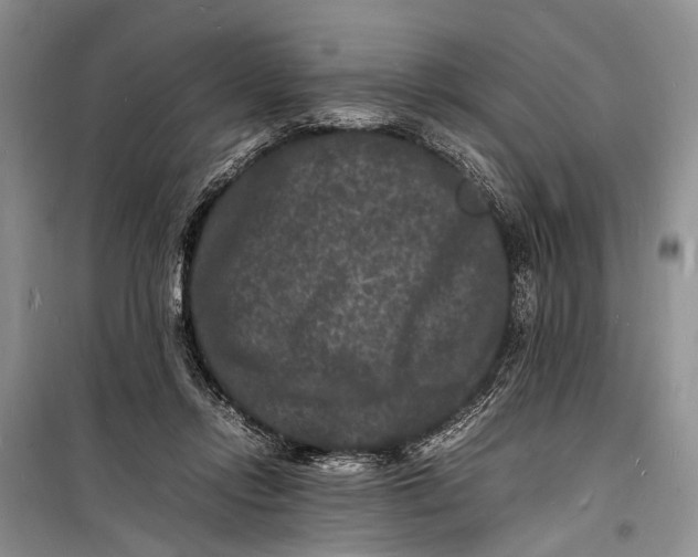 X0000098180358200805151146