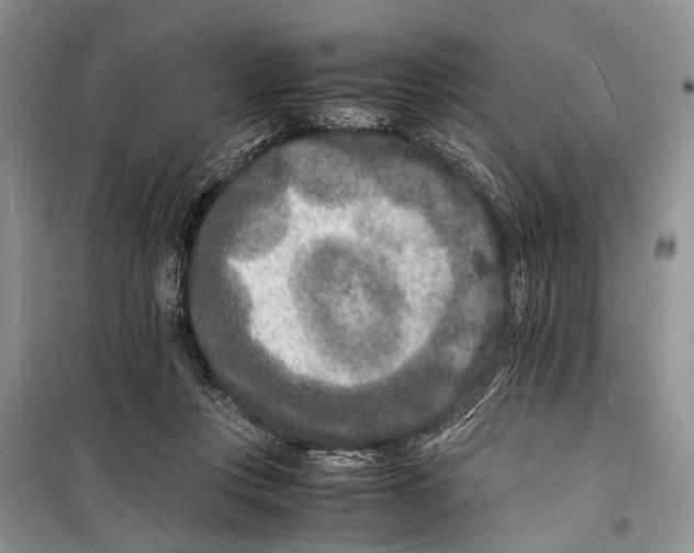 X0000098180359200805151146