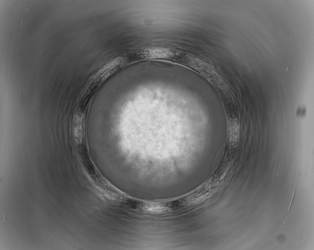 X0000098180360200805151146