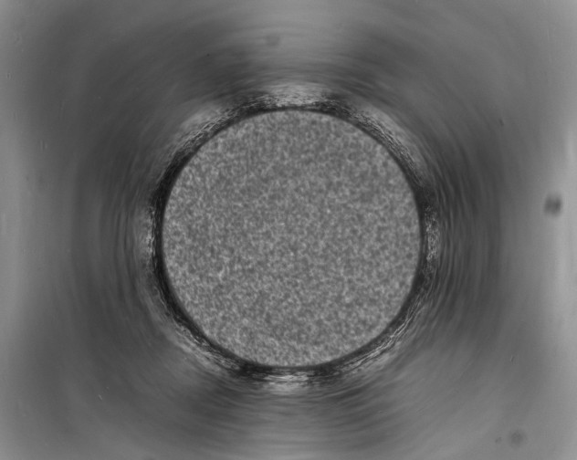 X0000098180362200805151146