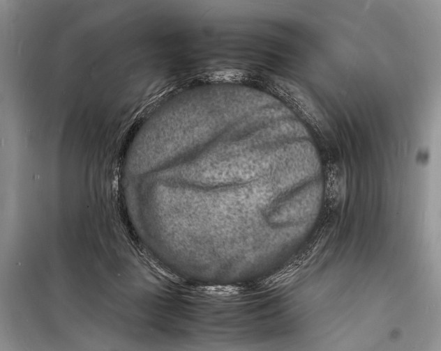 X0000098180363200805151146