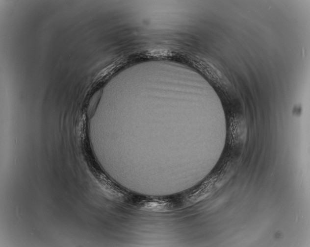 X0000098180364200805151146