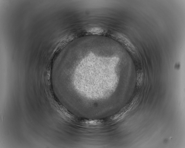 X0000098180365200805151146