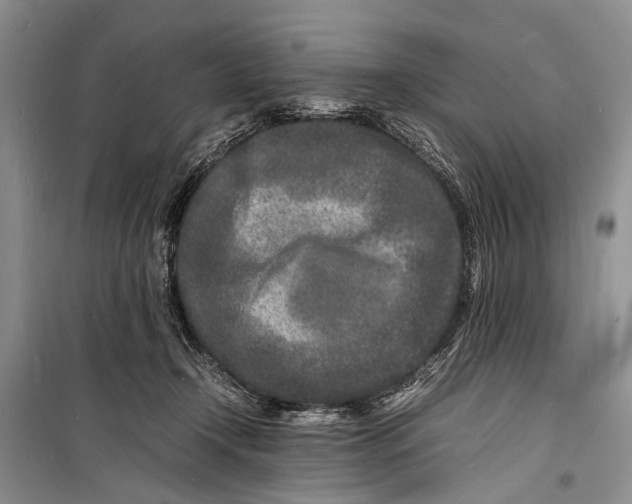 X0000098180366200805151146