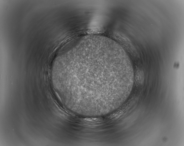 X0000098180367200805151146