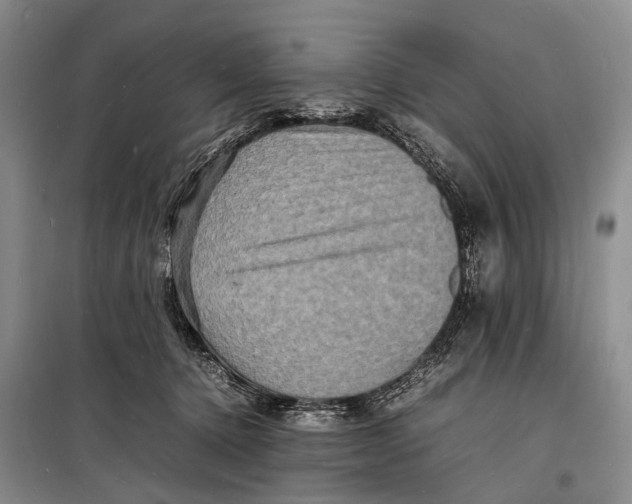 X0000098180368200805151146