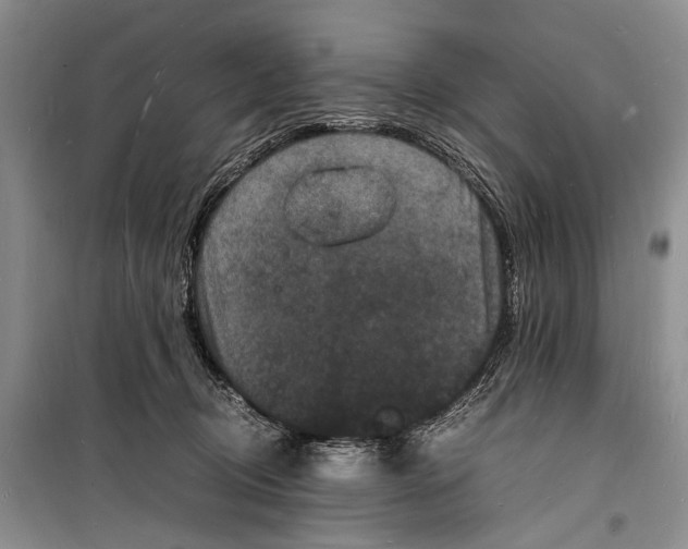 X0000098180370200805151146