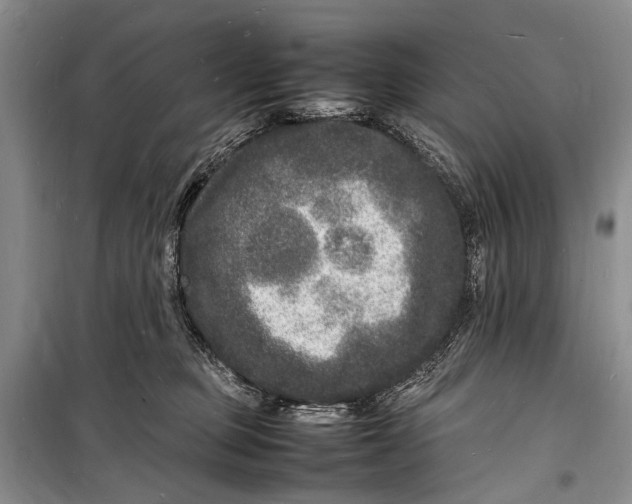 X0000098180373200805151146