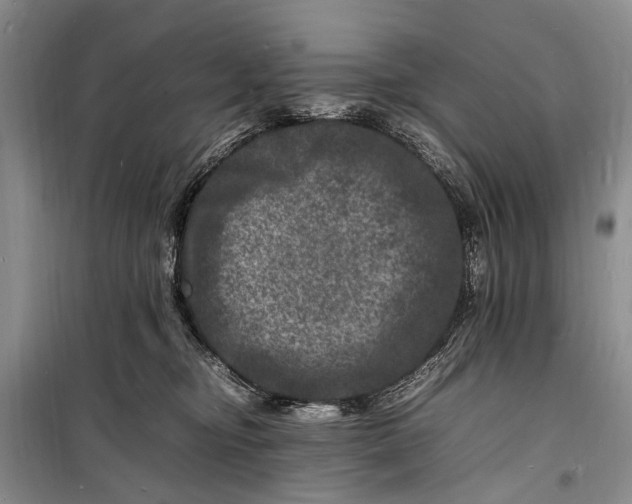 X0000098180374200805151146