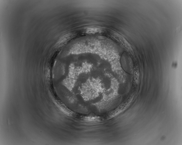 X0000098180375200805151146