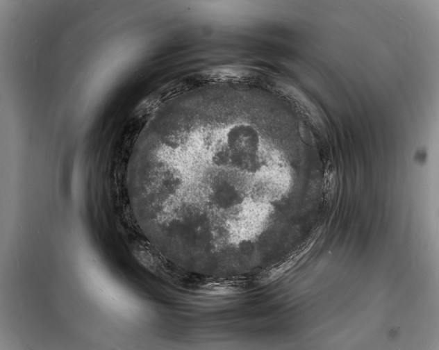 X0000098180381200805151146