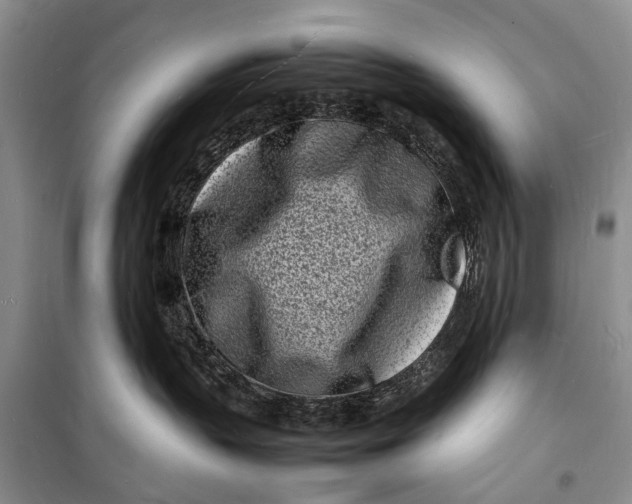 X0000098180383200805151146