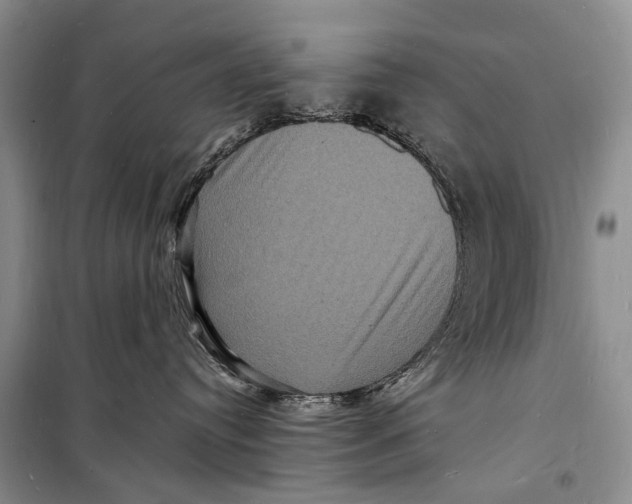 X0000098180384200805151146