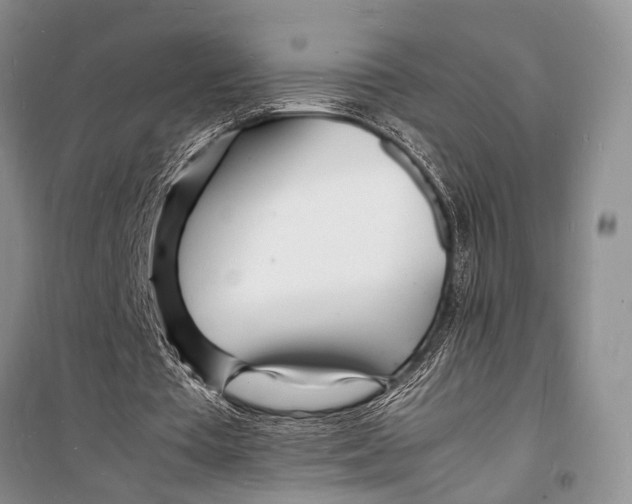 X0000098180385200805151145