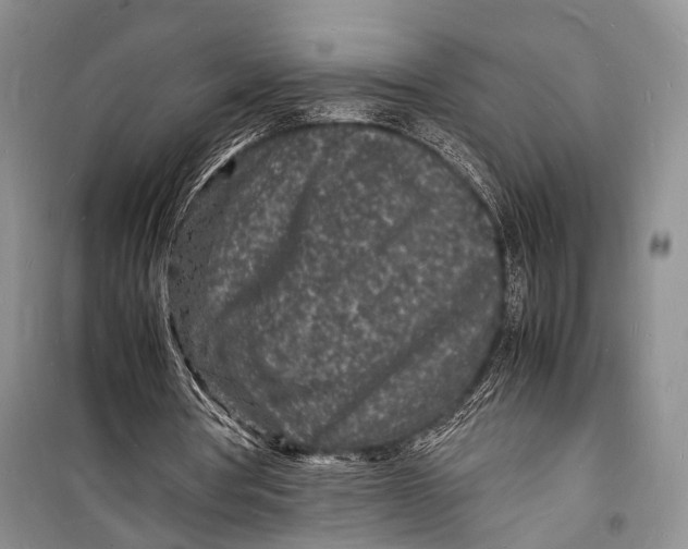 X0000098180386200805151145