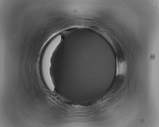 X0000098180387200805151145