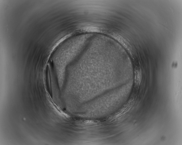 X0000098180390200805151145